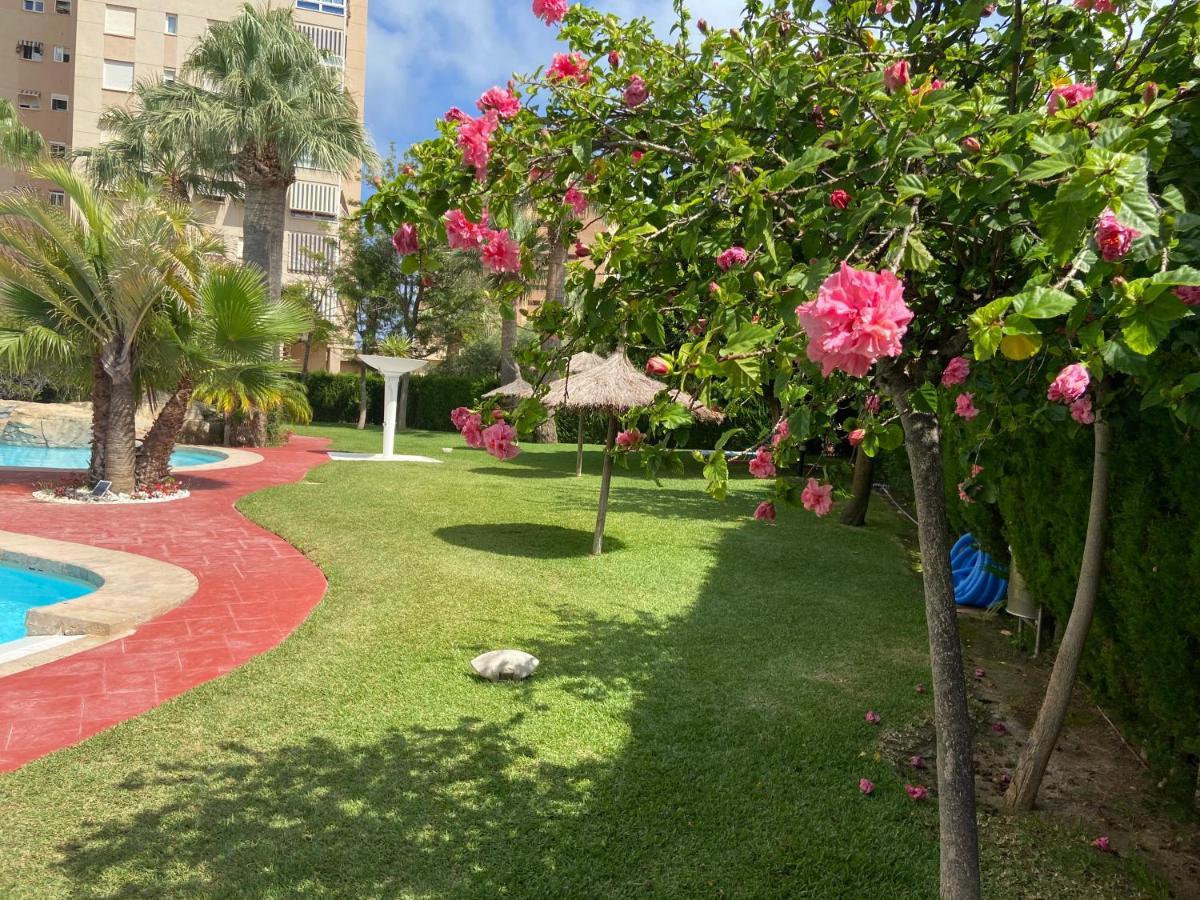 Alicante Apartamento En La Playa Muchavista-San Juan - Marluma Frente Al Mar La Venteta Eksteriør billede